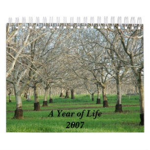 Ett år av livkalendern 2007 kalender
