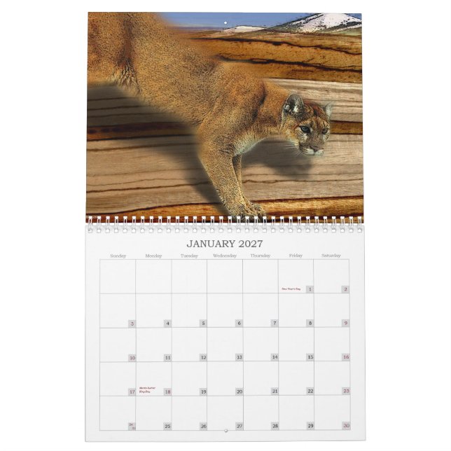 ETT ÅR AV NATUREN KALENDER (Jan 2027)
