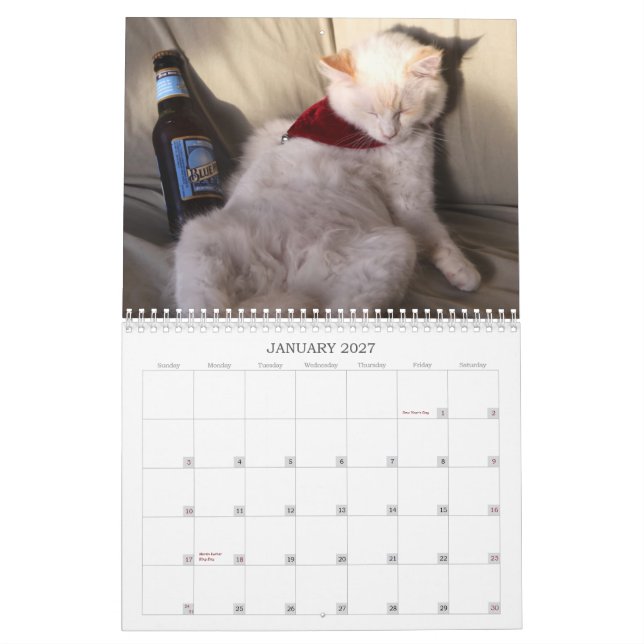 Ett år av ridiculousness kalender (Jan 2027)
