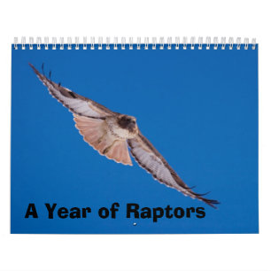 Ett år av rovfåglar kalender