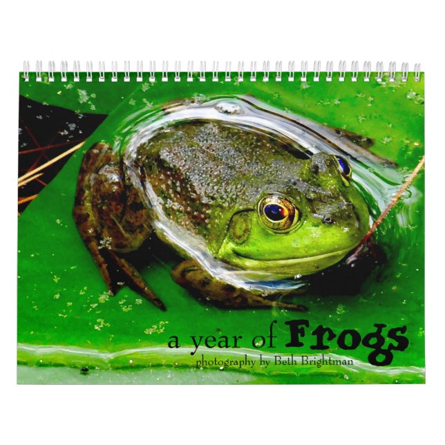 Ett år för grodkalender kalender (Omslag)