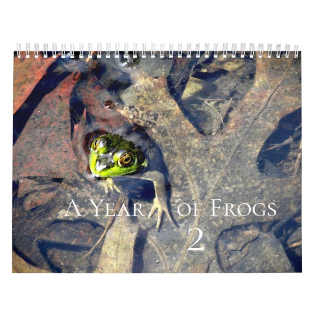 Ett år för grodor 2 kalender (Omslag)