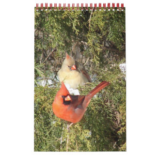 Ett år för kardinalkalender kalender