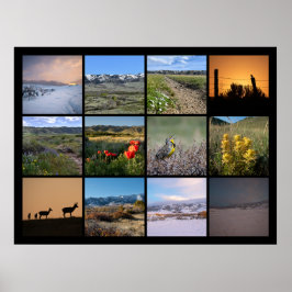 Ett år i centrum av Casper Mountain 2024 Poster