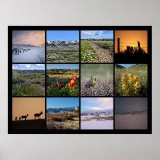 Ett år i centrum av Casper Mountain 2024 Poster