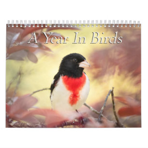 Ett år i fågelkalendern kalender
