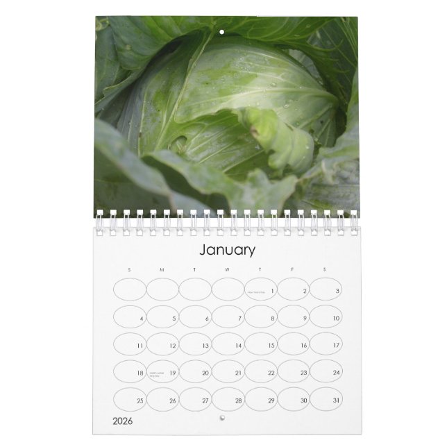 Ett år i frukter, grönsaker och blommor kalender (Jan 2026)