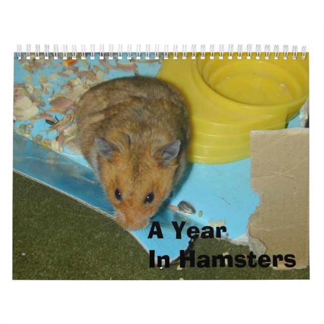 Ett år i Hamsters 2010 Kalender (Omslag)