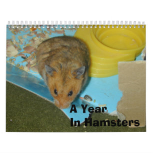 Ett år i Hamsters 2010 Kalender