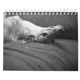 Ett år i livet av Enzo Kalender