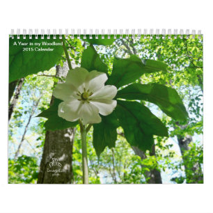 Ett år i min kalender för skogsmark 2015