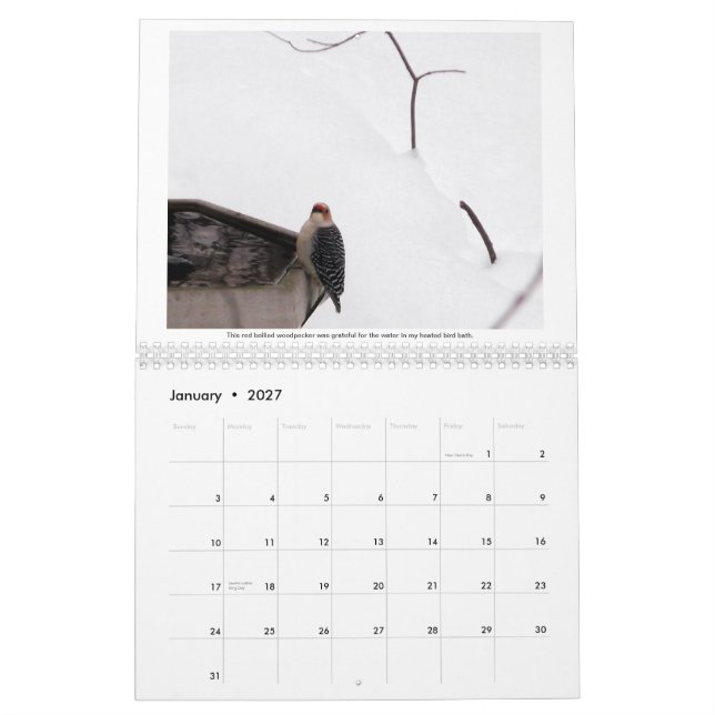 Ett år i min kalender för skogsmark 2015 (Jan 2027)