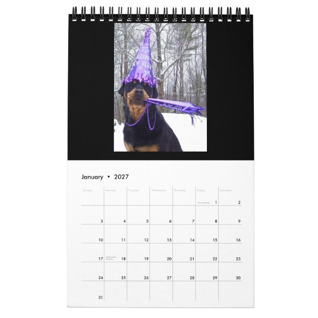 "Ett år med den Annie" Rottweiler kalendern 2016 Kalender (Jan 2027)