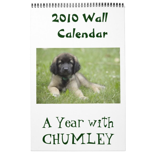 Ett år med den Chumley väggkalendern 2010 Kalender (Omslag)