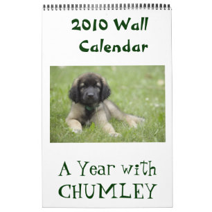 Ett år med den Chumley väggkalendern 2010 Kalender