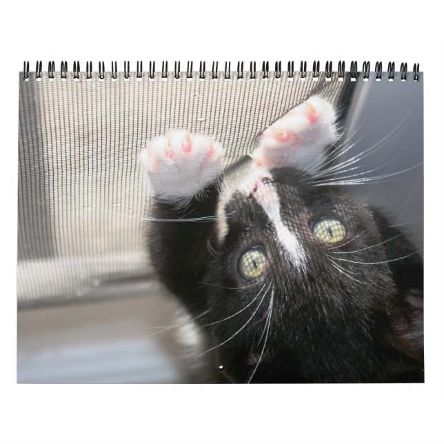 Ett år med fuzzybutts kalender (Omslag)
