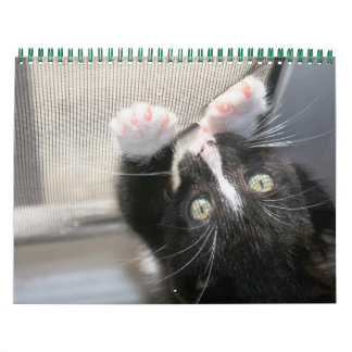 Ett år med fuzzybutts kalender