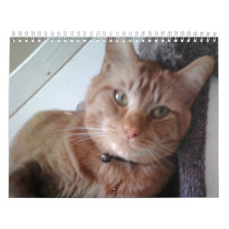 Ett år med kåken kalender