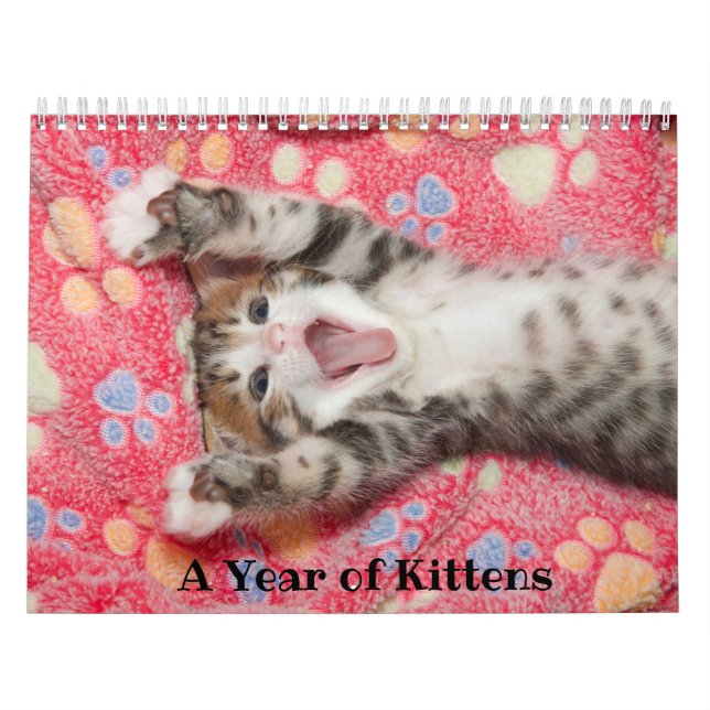 Ett år med Kittens kalender (Omslag)