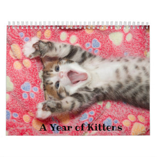 Ett år med Kittens kalender