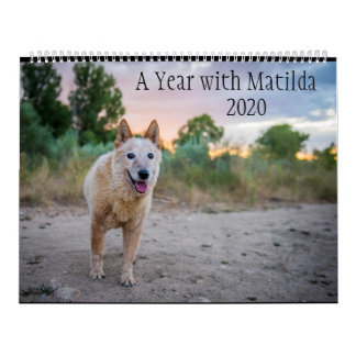 Ett år med Matilda:Kalender 2020 Kalender