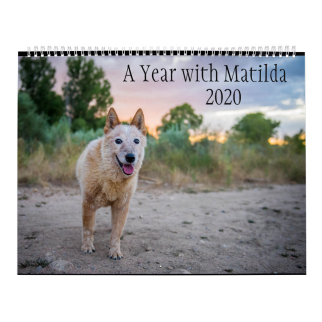 Ett år med Matilda:Kalender 2020 Kalender (Omslag)