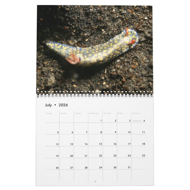 Ett år med nudibranchkalender kalender (Jul 2026)