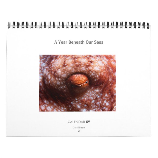 Ett år under våra hav - kalender 2009 (Omslag)