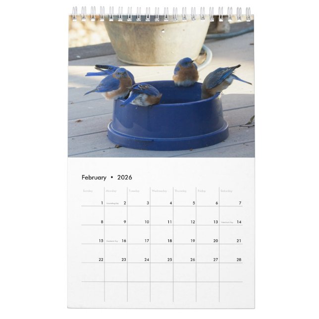 Ett års Fullt av Bluebirdsen Kalender (Feb 2026)