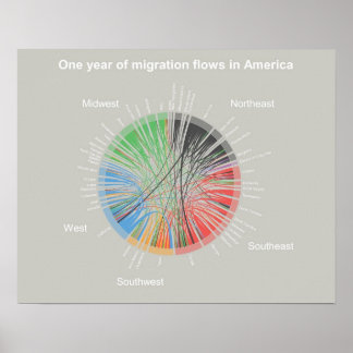 Ett års migrationsströmmar i Amerika Poster