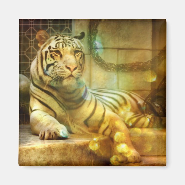 Ett återupplivande hjärta magnet (Framsidan)