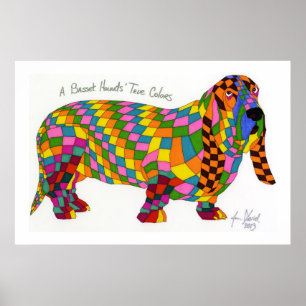 Ett Basset Hounds'True Färg, Basset Hound Poster