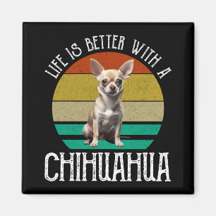 Ett bättre liv med en Chihuahua Magnet