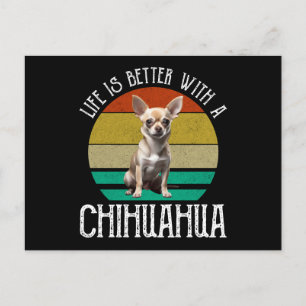 Ett bättre liv med en Chihuahua Vykort