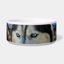 Ett bättre liv med Siberian husky