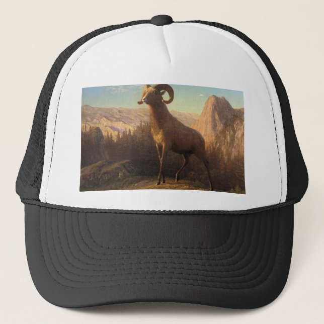 ett bergsfår av hög storlek, Bierstadt Albert Truckerkeps (Framsida)