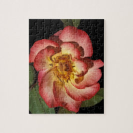 Ett Betty Boop ropussel Pussel