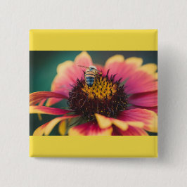 Ett bi på en blomma knapp