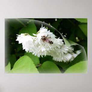 Ett bi på en sida poster