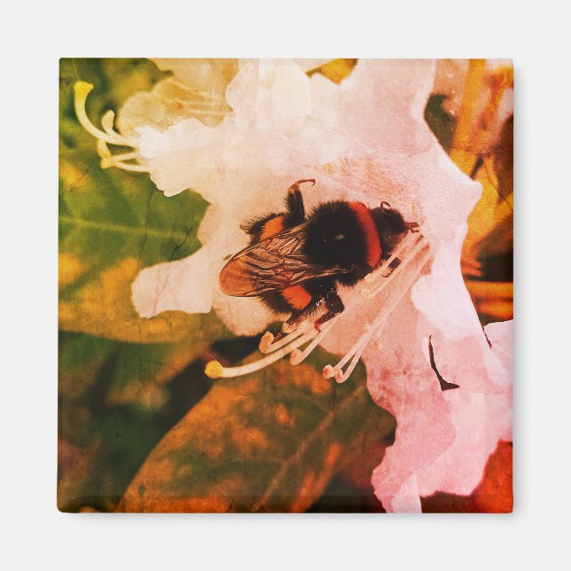 Ett bin - en del av insekten magnet (Framsidan)
