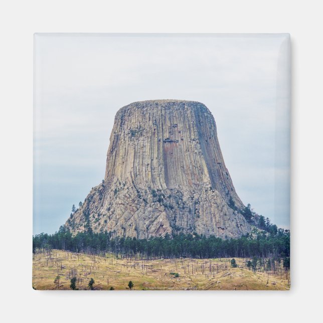 Ett björns hem magnet (Framsidan)