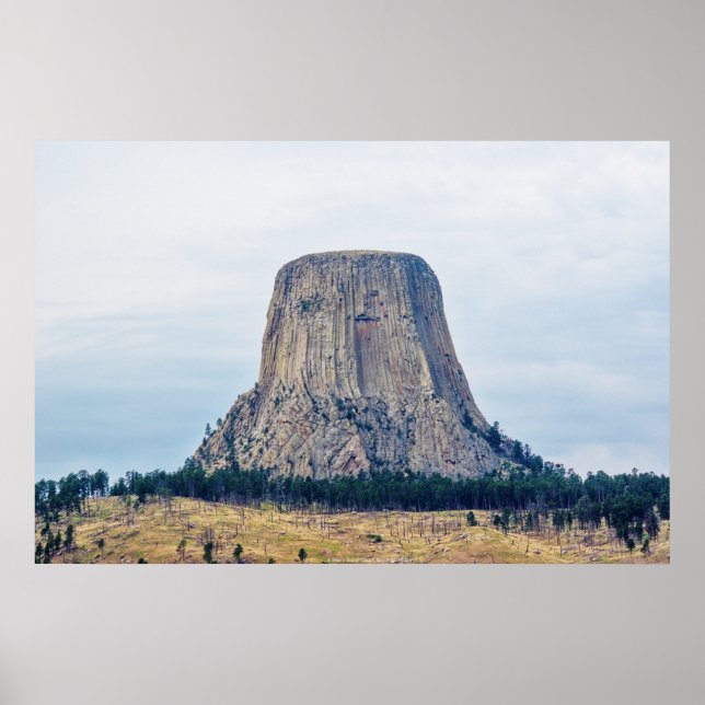 Ett björns hem poster (Framsidan)