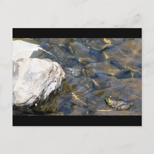 Ett blad i taget vykort (Framsida)