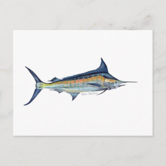 Ett blått marlin-fiskvykort vykort