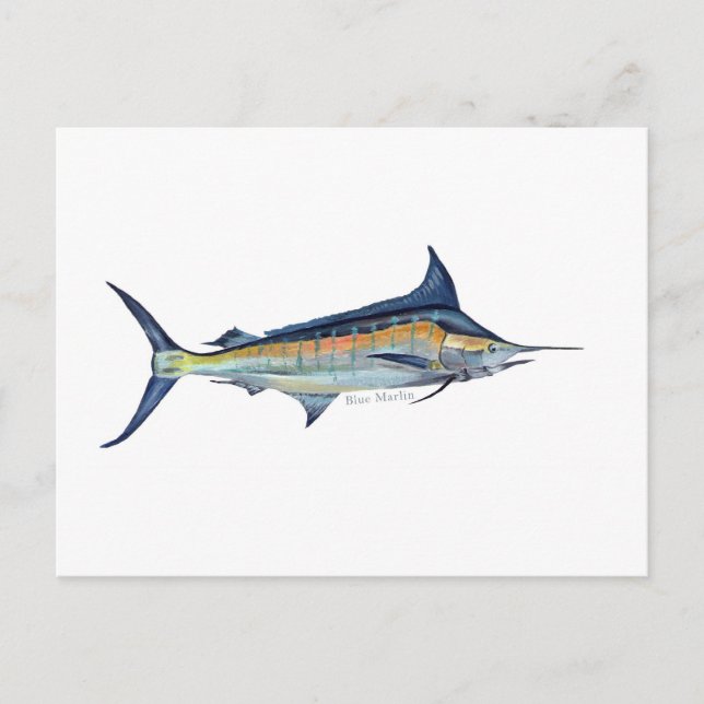 Ett blått marlin-fiskvykort vykort (Framsida)