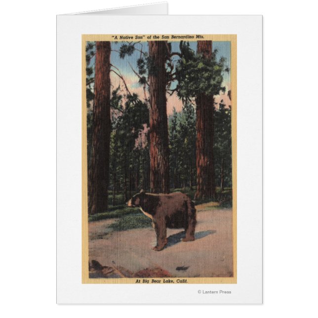 Ett brunbjörn i Skogen Hälsningskort (Framsidan)