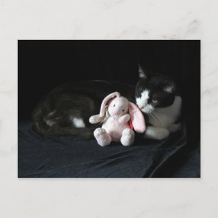 Ett Bunny Kärlek-vykort Vykort