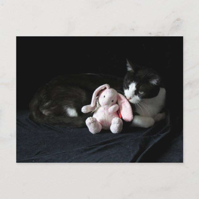 Ett Bunny Kärlek-vykort Vykort (Framsida)