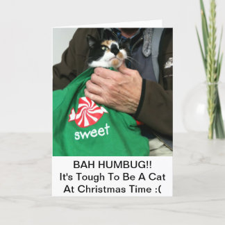 Ett Cat Lovers-julkort!! Helgkort