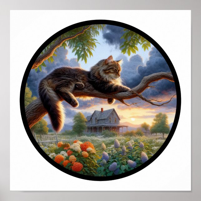Ett cirkulärt 3D-bild av en huskatt med långhår Poster (Framsidan)